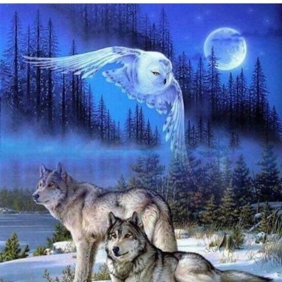 Meet your Posher, Donald - Picture 1 of 1